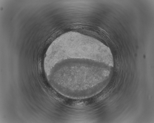 X0000067470267200605051654