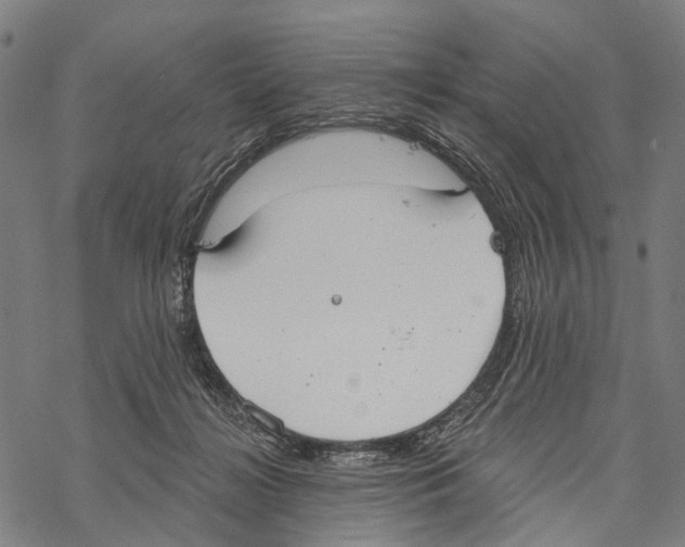 X0000067470268200605051654