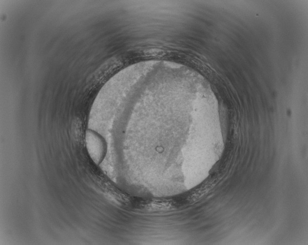 X0000067470270200605051654