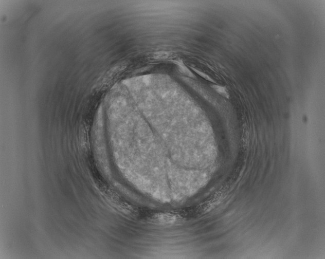 X0000067470272200605051655