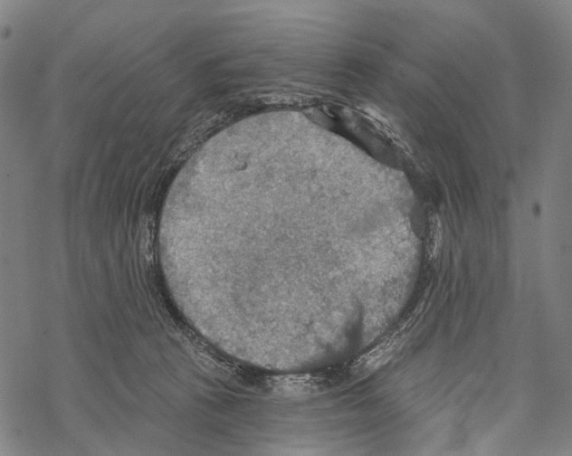 X0000067470273200605051655