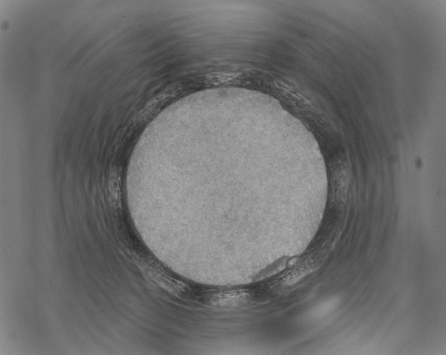 X0000067470274200605051655