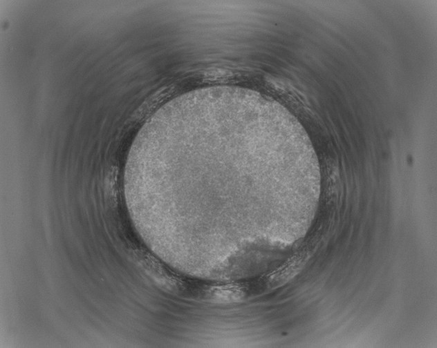 X0000067470275200605051655