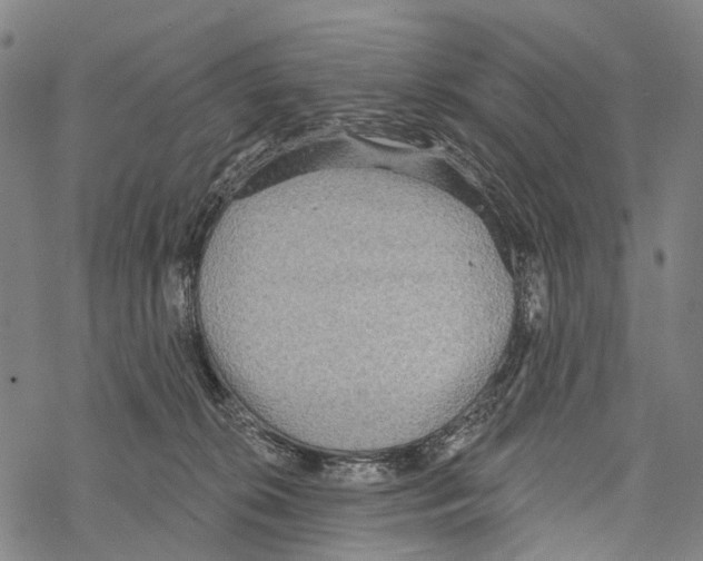 X0000067470276200605051655