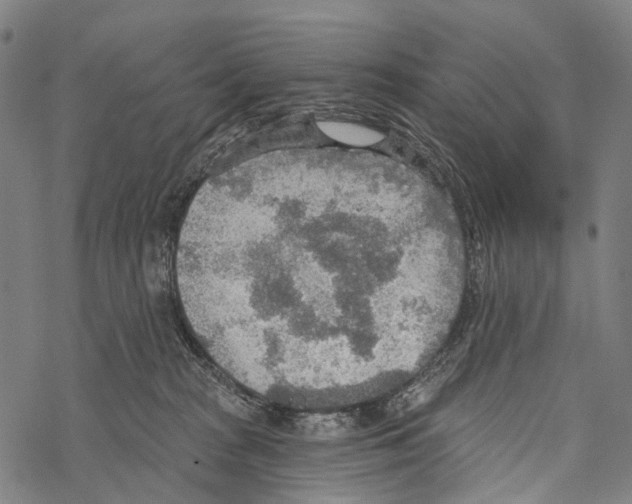 X0000067470277200605051655