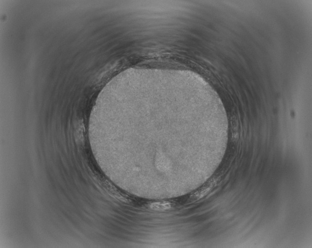 X0000067470279200605051655