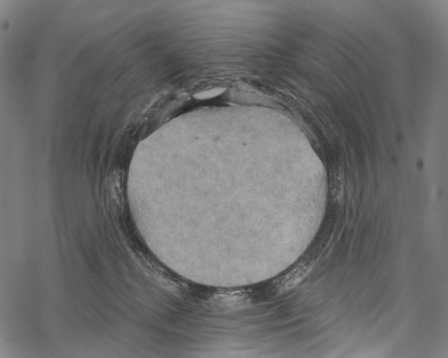 X0000067470280200605051655