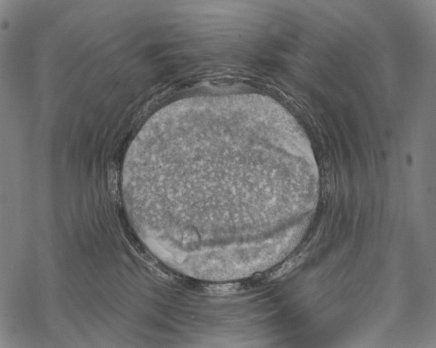 X0000067470281200605051655