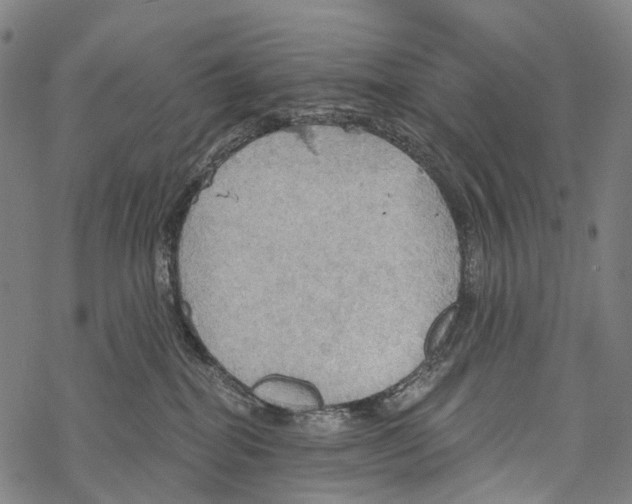 X0000067470282200605051655