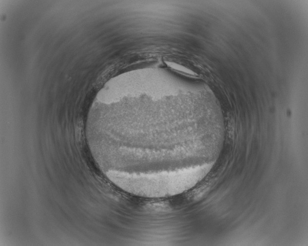 X0000067470283200605051655