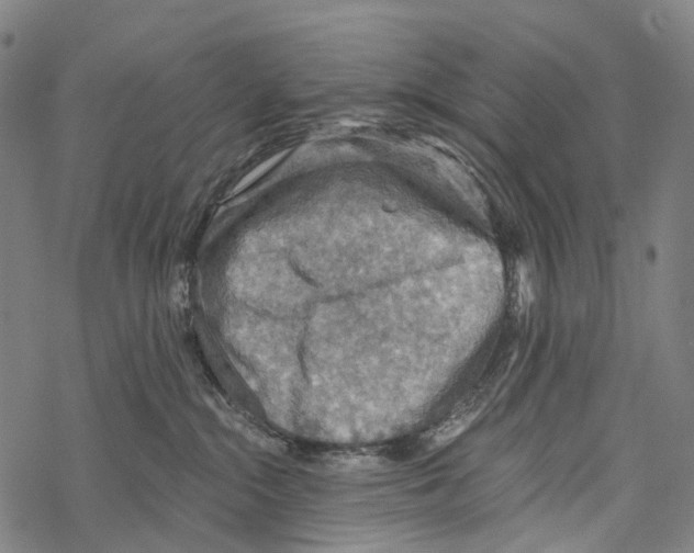 X0000067470284200605051655