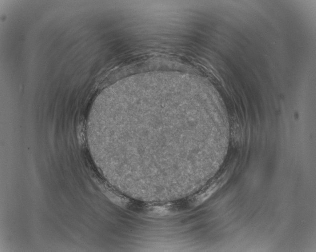 X0000067470285200605051655