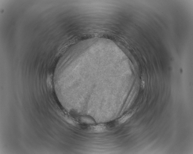 X0000067470286200605051655