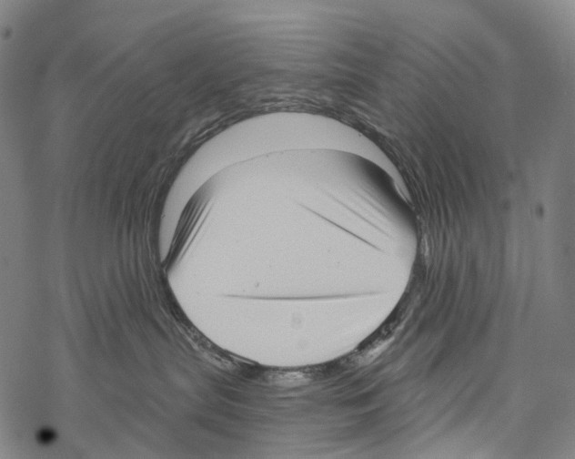 X0000067470287200605051655