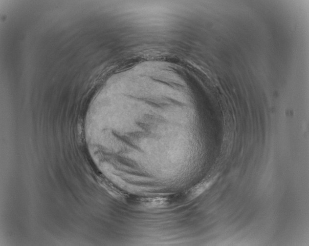 X0000067470288200605051655