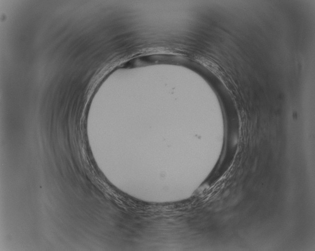 X0000067470289200605051654