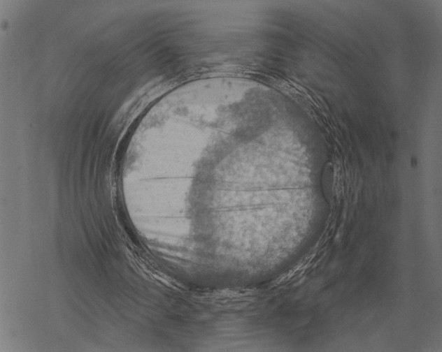 X0000067470290200605051654