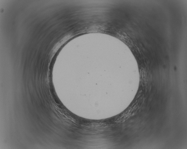 X0000067470292200605051654