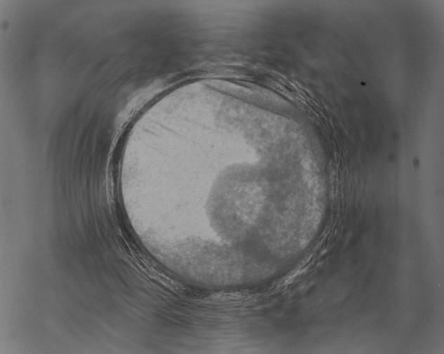 X0000067470294200605051654