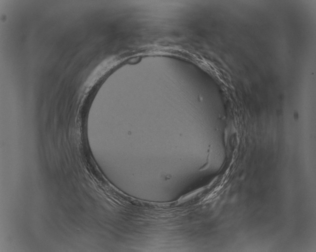 X0000067470295200605051654