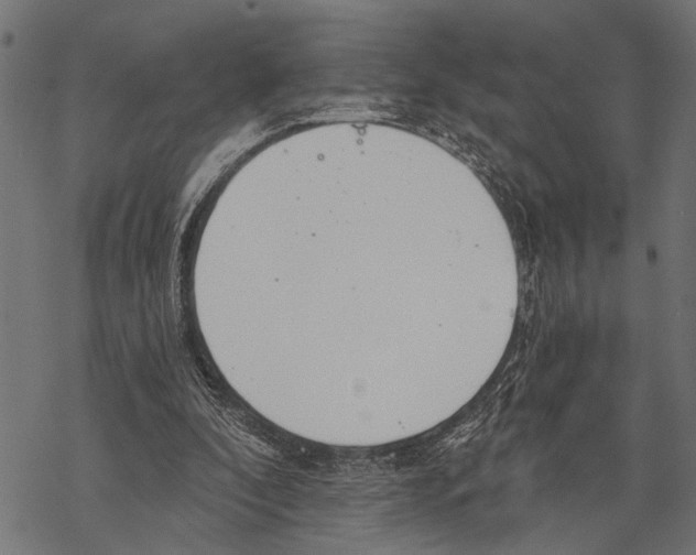 X0000067470296200605051654