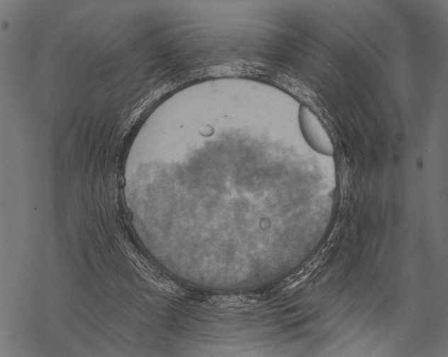 X0000067470297200605051654