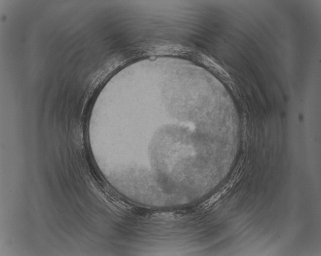 X0000067470298200605051654