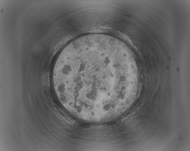 X0000067470299200605051654