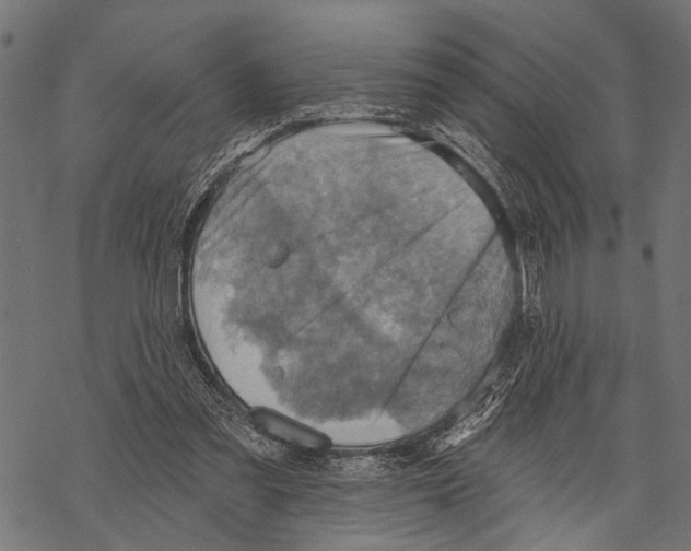 X0000067470301200605051654