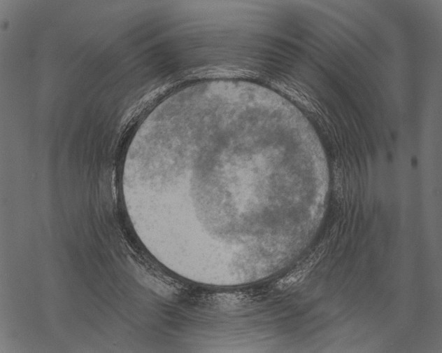 X0000067470302200605051654