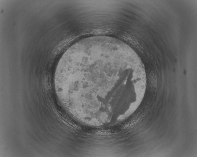 X0000067470303200605051654