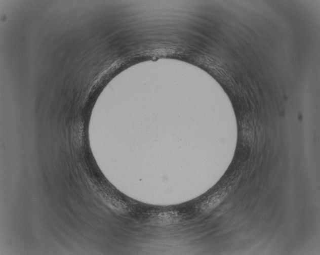 X0000067470304200605051654