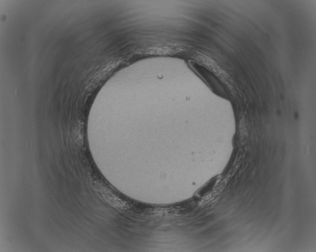 X0000067470305200605051654