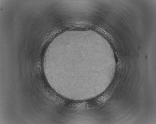 X0000067470306200605051654