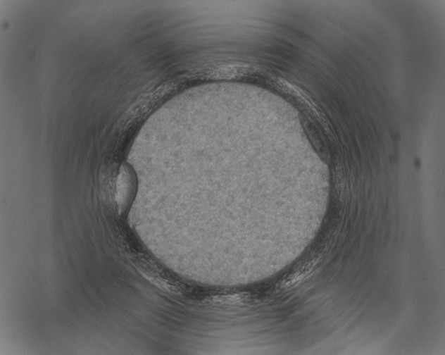 X0000067470307200605051654