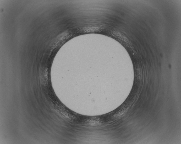 X0000067470308200605051654