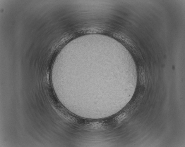 X0000067470310200605051654