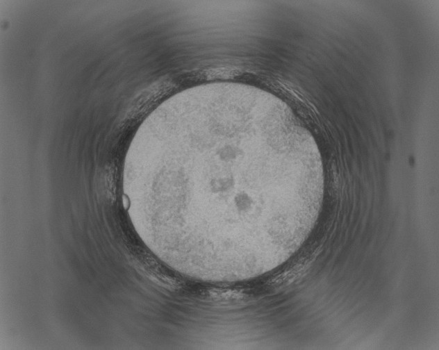 X0000067470311200605051654