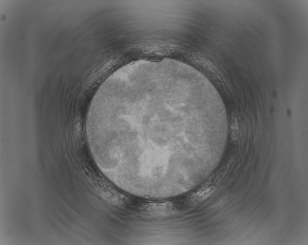 X0000067470314200605051654