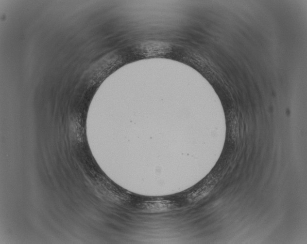 X0000067470316200605051654