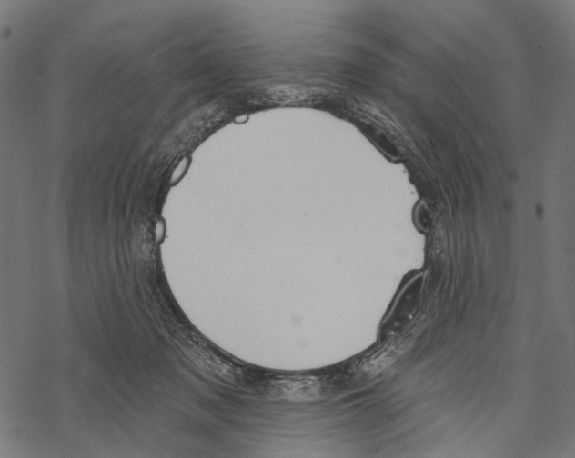 X0000067470317200605051654