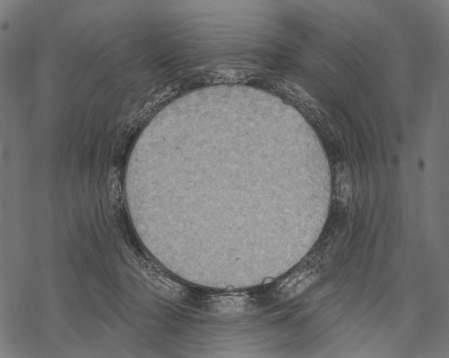 X0000067470318200605051654