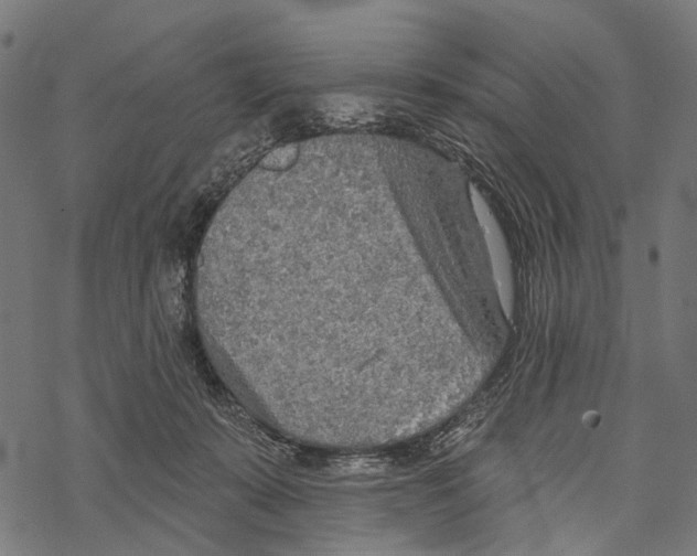 X0000067470319200605051654