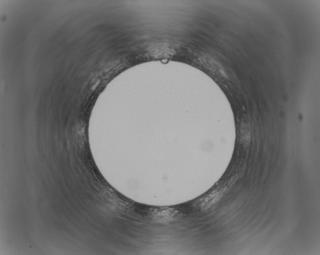 X0000067470321200605051653