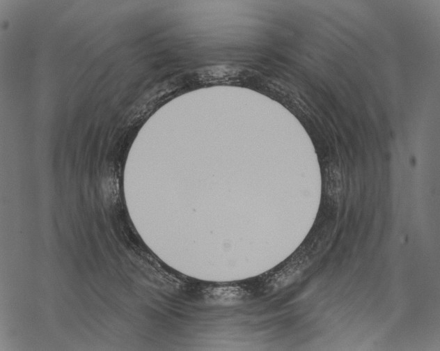 X0000067470324200605051653