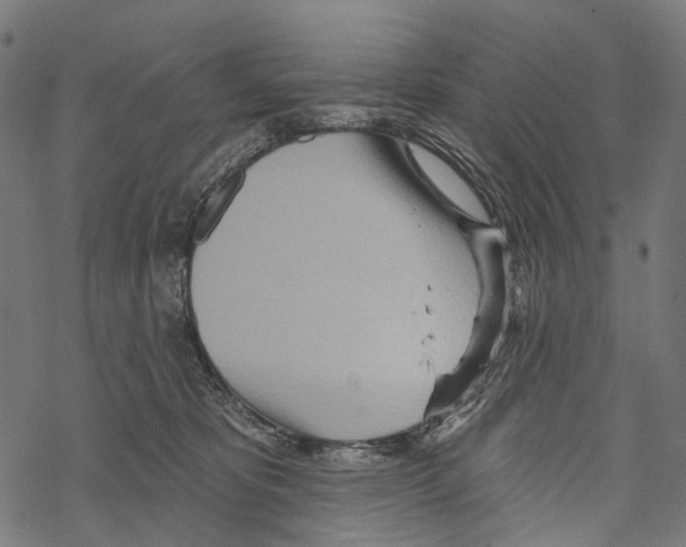 X0000067470325200605051653