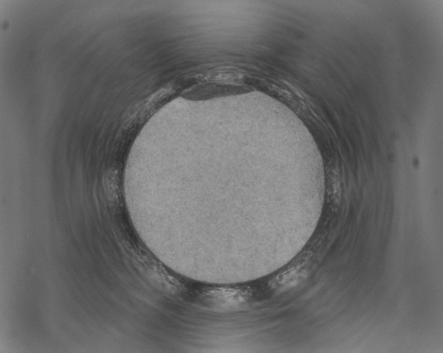 X0000067470326200605051653