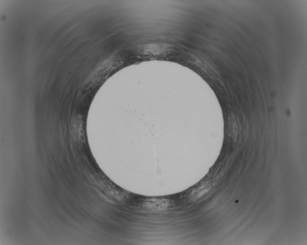 X0000067470328200605051653