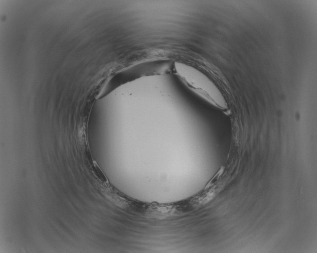 X0000067470329200605051653