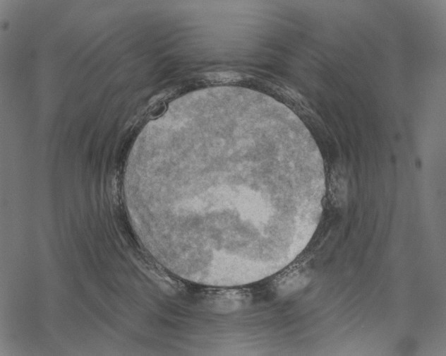 X0000067470330200605051653